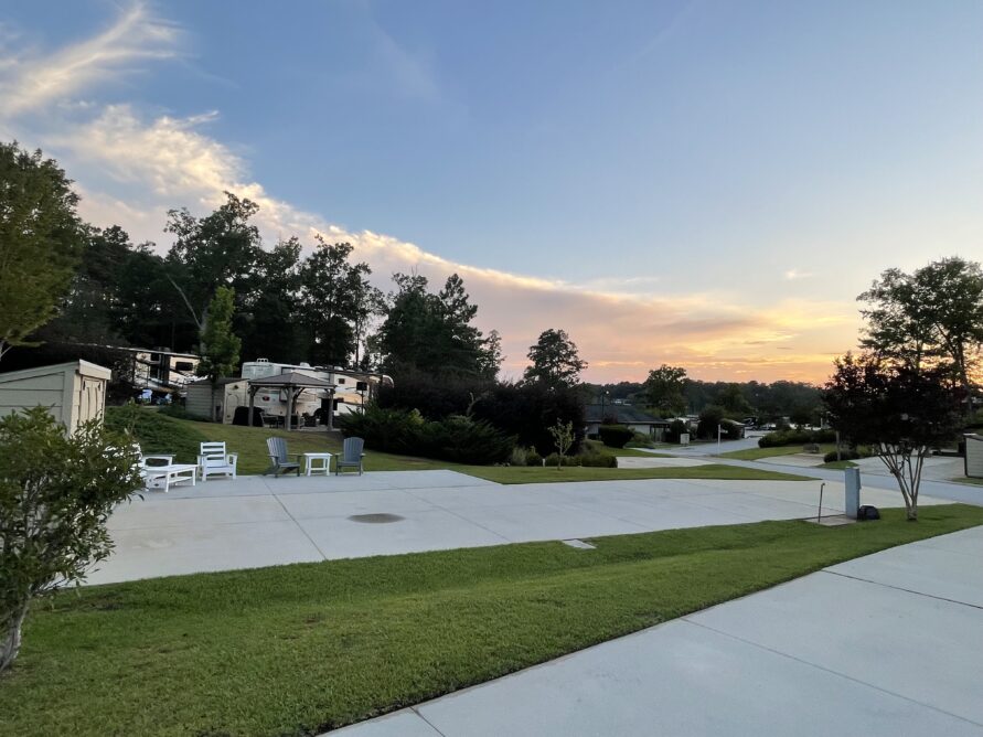 Lot 54